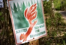 Hohe Waldbrandgefahr in Rheinland-Pfalz, auch in Trier und Idar-Oberstein