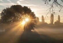 Wetterbilanz: Hitzespitze 2025 in Rheinland-Pfalz