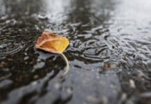 Region: Regnerisches Wetter und kühlere Temperaturen – Ab Freitag Besserung