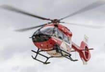 Auto kracht auf gerader Strecke gegen Baum – Fahrer schwerstverletzt