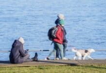 ++ Region: Wetter weiter mild – vierter Adventssonntag trocken ++