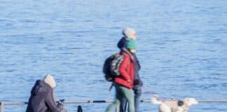 ++ Region: Wetter weiter mild – vierter Adventssonntag trocken ++