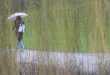 ++ Region: Teils kräftige Gewitter am Wochenende – regnerischer Wochenstart ++