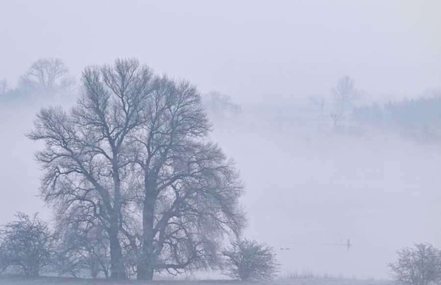 Winterbeginn-in-der-Region-wird-wolkig-und-tr-b