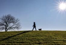 ++ Region: Vorgeschmack auf den Frühling — Temperaturen bis zu 20 Grad ++