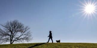 ++ Region: Vorgeschmack auf den Frühling — Temperaturen bis zu 20 Grad ++