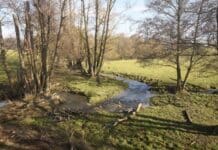 ++ Frühlingshaftes Wetter in der Region — Wochenende etwas kühler ++