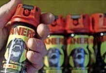 RLP: Tierabwehrspray in Turnhalle versprüht – Acht Schüler leicht verletzt