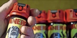 RLP: Tierabwehrspray in Turnhalle versprüht – Acht Schüler leicht verletzt