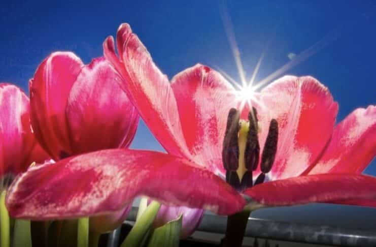 ++ Region: Höchsttemperaturen von bis zu 22 Grad — kurze Gewitter möglich ++