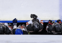 Die erfolgreichsten Eishockeyspieler der National Hockey League aus der Schweiz