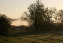 ++ Graues und mildes Wetter in der Region – Glättegefahr im Bergland ++