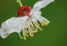 ++ Region: Kühler Freitag — frühlingshafte Temperaturen am Wochenende ++