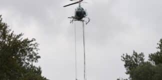 Früher Saisonstart: So läuft der Kampf gegen Stechmücken in RLP, Ba-Wü & Hessen