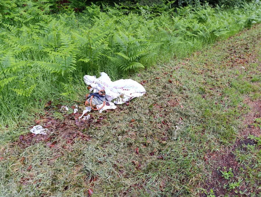 Aufgerissene Plastiktüte mit Kleidung und persönlichen Gegenständen am Waldrand neben einer Grasfläche.