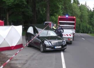 Mord an Ex-Geliebter bei Hermeskeil: Verurteilter 35-Jähriger legt Revision ein Polizeifahrzeug und Leichenwagen an einem Waldparkplatz bei Hermeskeil, Absperrung und Sichtschutz am Tatort, Ermittler im Gespräch.
