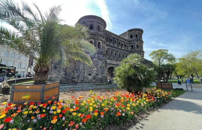 Palmenbepflanzung vor der Porta Nigra in Trier