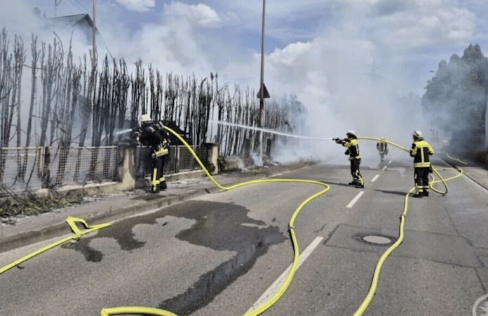 Feuerwehrleute löschen eine brennende Hecke in Kirchheim mit mehreren Wasserschläuchen von der Straße aus – dichter Rauch liegt in der Luft. Quelle: Feuerwehr Kirchheim / Teck
