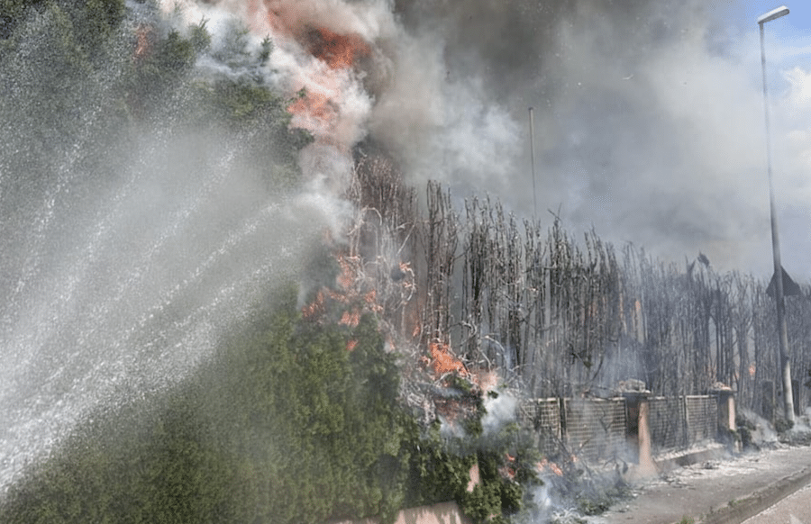 Starke Rauchentwicklung und lodernde Flammen an einer brennenden Thujahecke in Kirchheim – Gartenbrand durch Funkenflug bei starkem Wind. Quelle: Feuerwehr Kirchheim / Teck