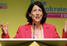 FDP Rheinland-Pfalz will „Handwerksgymnasium“ und verpflichtende Praktika