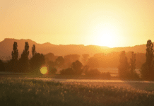 Hitzeschock in Frankreich: Behörden verbieten Alkohol im öffentlichen Raum Goldener Sonnenaufgang über einem sommerlichen Feld zur Sommersonnenwende am 21. Juni 2025, mit sanften Hügeln und Silhouetten von Bäumen – Symbolbild für den längsten Tag des Jahres.