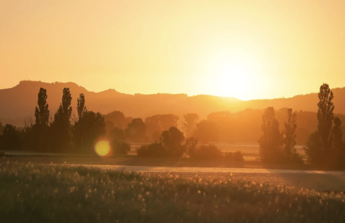 Goldener Sonnenaufgang über einem sommerlichen Feld zur Sommersonnenwende am 21. Juni 2025, mit sanften Hügeln und Silhouetten von Bäumen – Symbolbild für den längsten Tag des Jahres.
