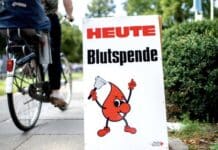 Region: Rotes Kreuz ruft zur Blutspende auf – hoher Bedarf im Sommer