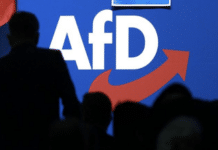 Partei auf Extremismusliste: Warum AfD-Mitglieder in RLP kaum noch Bürgermeister werden können „AfD-Logo mit rotem Pfeil, Menschen im Vordergrund im Schatten, Quelle: dpa“