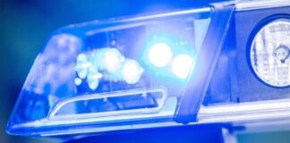 Ausgabe von «Mein Kampf» aus Museum in Alzey gestohlen