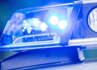 Ausgabe von «Mein Kampf» aus Museum in Alzey gestohlen