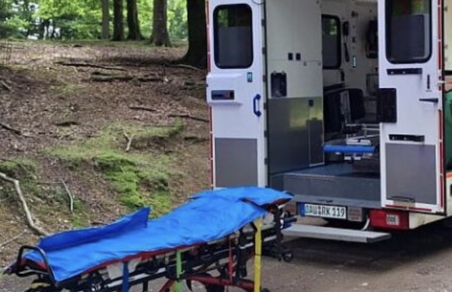 Einsatz-im-Dauner-Wildpark-Feuerwehr-unterst-tzt-Rettungsdienst-im-Gel-nde