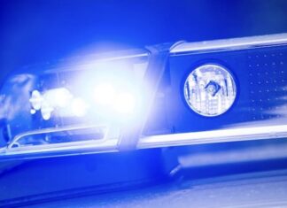 Kopfsalat wird zum Wurfgeschoss in Streit