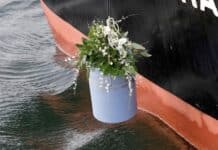 Neues Bestattungsgesetz: Erster Bestatter bekommt Erlaubnis für Flussbestattungen