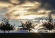 ++ Mildes Herbstwetter in der Region – Regen und Schauer am Wochenende ++