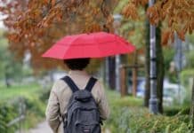 ++ Region: Verlängertes Wochenende wird regnerisch und bewölkt ++