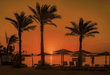 Neues Kapitel für Ägyptens Geschichte: Die Eröffnung des Grand Egyptian Museum (GEM)