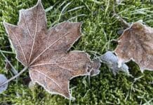 ++ Region: Bis minus neun Grad – Glatteis droht am Sonntag ++