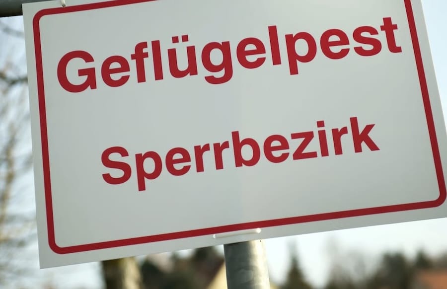 Gefl-gelpest-bei-Gans-im-Kurpark-Pr-m-festgestellt-Betretungsverbot-verh-ngt