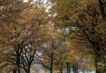 ++ Region: Nebel am Morgen, Sonne am Tag – Regen am Wochenende ++