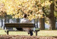 ++ Region: Sonne und milde Temperaturen bis 17 Grad – nachts Frost möglich ++