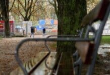 ++ Region: Wolken, Regen und milde Temperaturen – Gewitter möglich ++