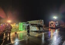 Oberweis: LKW stürzt in Graben – Fahrer schwer verletzt in Kabine eingeklemmt!