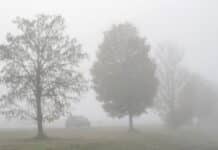 ++ Dichter Nebel in der Region – Sichtweiten von unter 150 Metern ++
