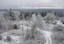 Wetter in der Region: Frost und Schnee – Glättegefahr zum Wochenstart