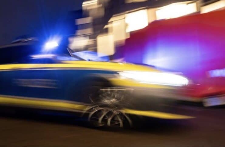 Mit Rebstöcken kollidiert: Drogenfahrer (23) flieht in Reil vor Polizei