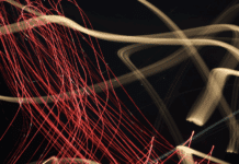 Vernetzung als Standortstrategie: Saarland im digitalen Wandel