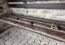 Vulkaneifel: Ekel-Vandalen wüten erneut an Bushaltestelle – Wände mit Hundekot beschmiert!