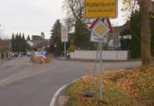 Suche nach mutmaßlicher Großkatze in Rheinland-Pfalz läuft