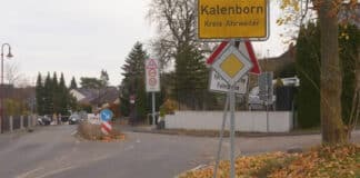 Suche nach mutmaßlicher Großkatze in Rheinland-Pfalz läuft