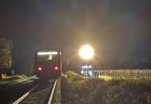 Zug stößt mit Wildschweinrotte zusammen – neun Tiere tot